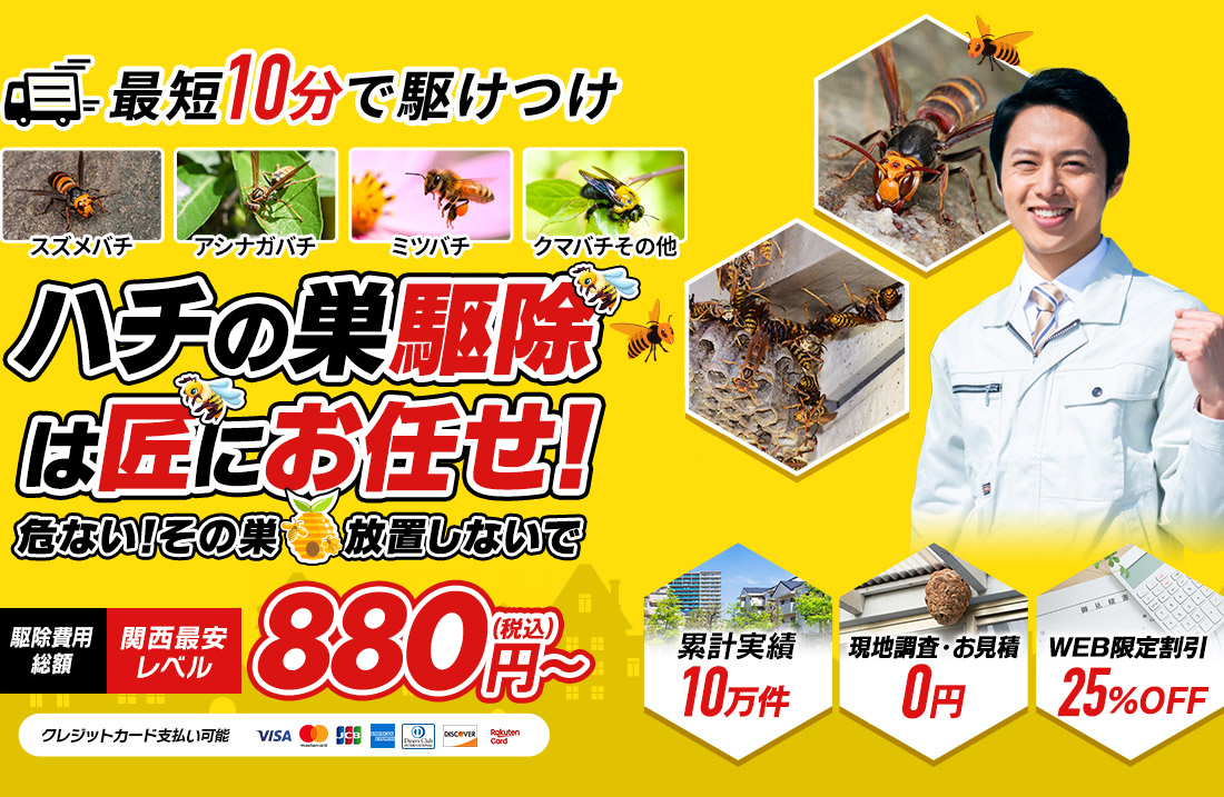 最短10分で駆けつけ ハチ退治 ハチの巣駆除はハチの巣駆除の匠 関西最安レベル